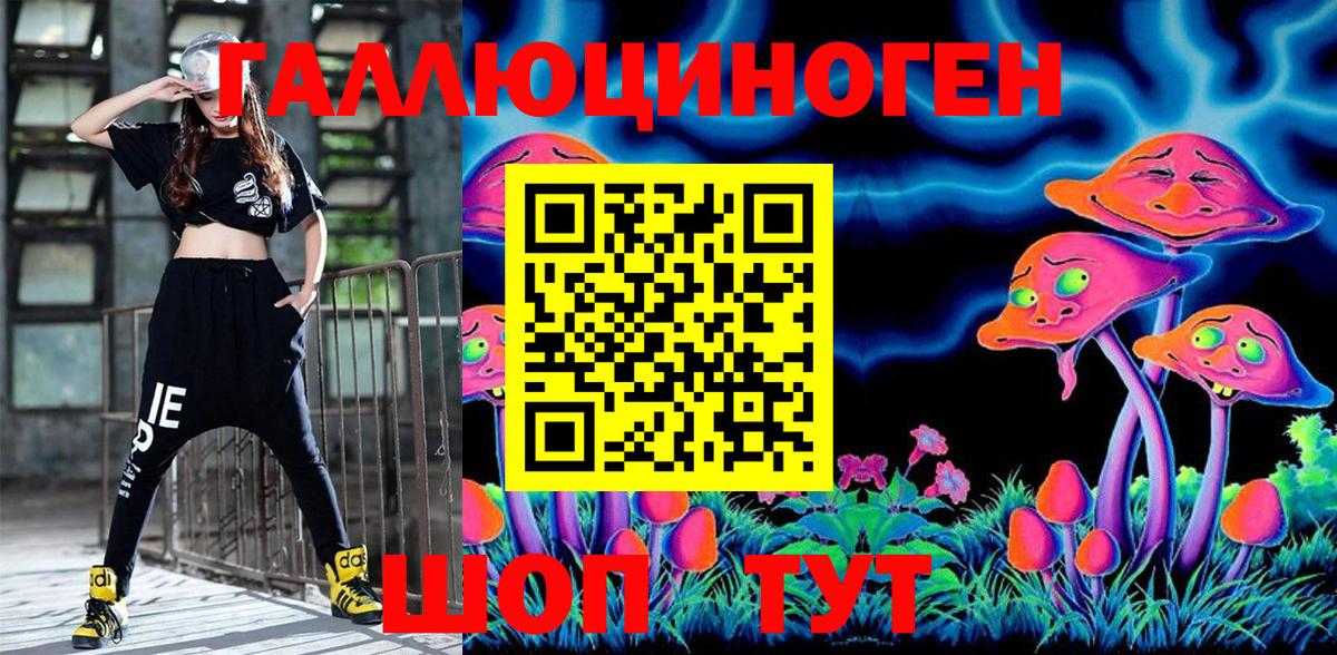 Большой Камень  Галлюциногенные грибы ЛСД  Вход с VPN  Псилоцибиновые грибы Psilocybe 